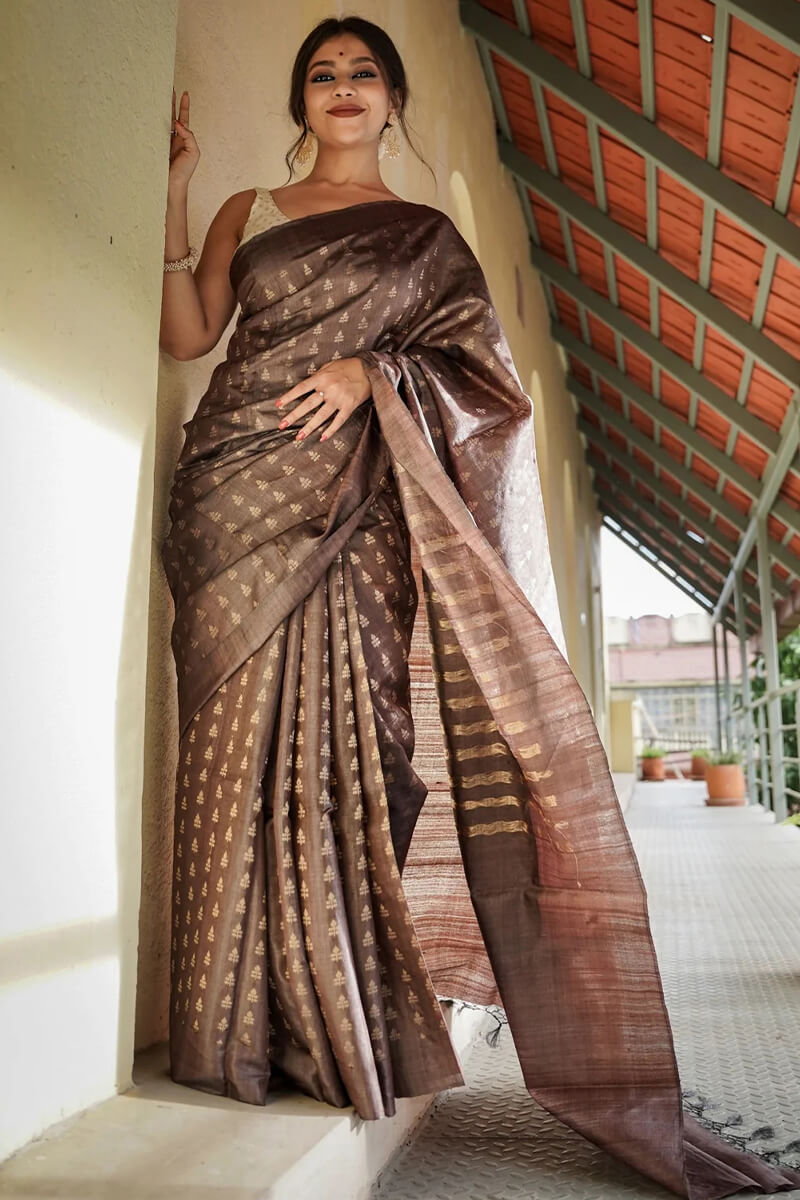 Groovy Brown Soft Silk Saree With Artistic Blouse Piece