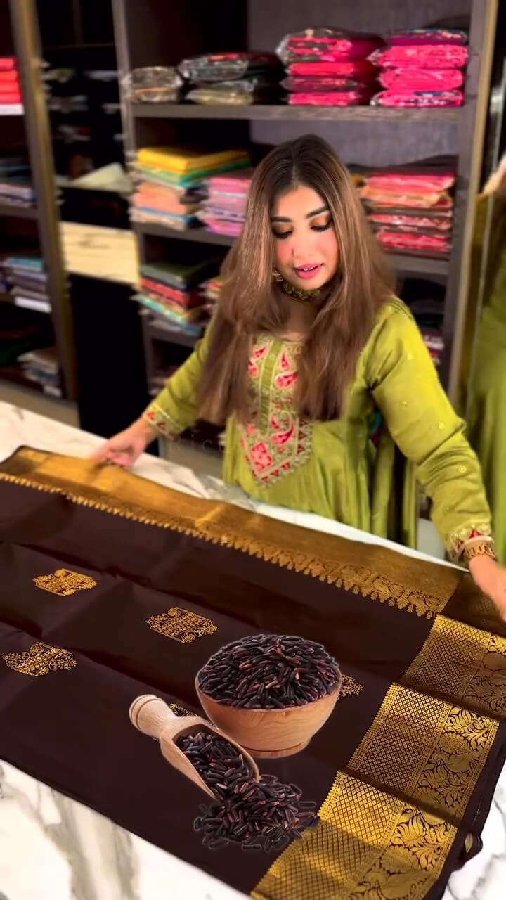 Woebegone Brown Soft Banarasi Silk Saree With Angelic Blouse Piece