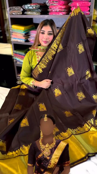 Artistic Brown Soft Banarasi Silk Saree With Snappy Blouse Piece