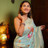 Evocative Sky Soft Banarasi Silk Saree With Petrichor Blouse Piece
