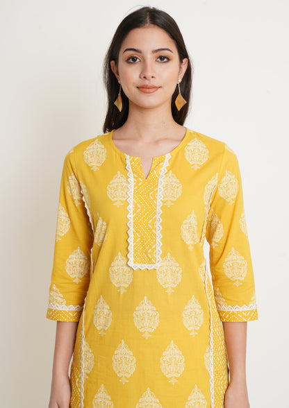 Ethnic Motifs Printed Panelled Pure Cotton Kurta with Palazzos