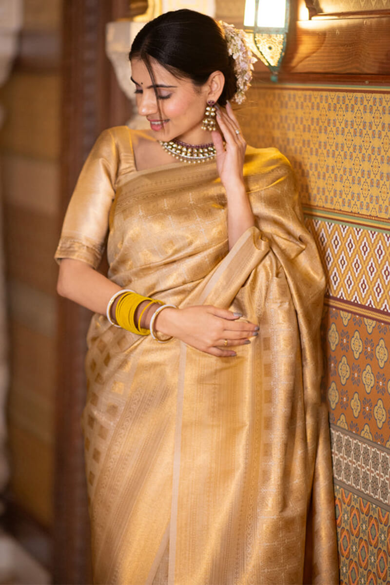 Arresting Beige Soft Silk Saree With Fantabulous Blouse Piece