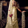 Refreshing Beige Pure Viscose Tissue Banrasi Silk Saree With Whimsical Blouse Piece