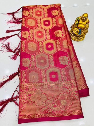 Ravishing Pink Organza Silk Saree With Flameboyant Blouse Piece