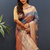Imbrication Grey Soft Banarasi Silk Saree With Zephyr Blouse Piece