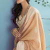 Blooming Dark Beige Lucknowi Silk Saree With Sensational Blouse Piece