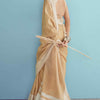 Blooming Dark Beige Lucknowi Silk Saree With Sensational Blouse Piece