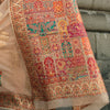 Pleasurable Beige Pashmina saree With Resonant Blouse Piece