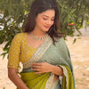 Olive Green & Pastel Blue Silk Saree with Heavy Mirror Border and Mustard Embroidered Blouse