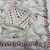 Ivory Organza Saree with Floral Thread Embroidery & Elegant Border Work