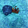 Aqua Blue Net Saree with Blue Floral Embroidery & Scalloped Border