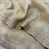 Champagne Gold Chiffon Saree with Silver Zari Booti Work & Ornate Border with Contrast Embroidered Blouse