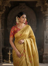 Butterfly Charm Crush Tissue Saree with Designer Bandhani Blouse  (4 Color Options Available)