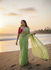 Floral Edge Chiffon Saree with Designer Blossom Blouse  (5 Color Options Available)