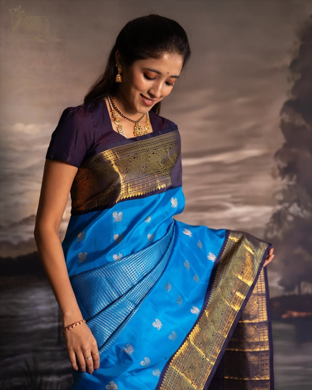 Royal Sky Blue & Navy Contrast Banarasi Silk Saree with Rich Gold Zari Border | Premium Festive & Wedding Wear