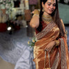 Luxury Copper Brown Organza Saree With Heavy Sequins Embroidered Border Designer Festive Saree