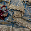 Luxury Shimmer Organza Saree With Golden Tassel Border & Designer Blouse Partywear Saree